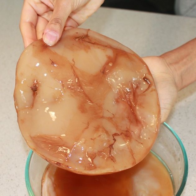 Сотилади Продаёться Чайный Гриб