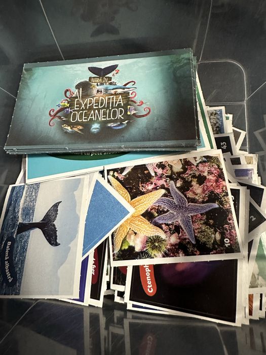 Cartonas mega image expeditia lumii carte minecraft