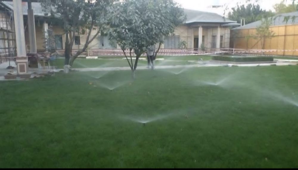 Рулонный газон .Акция