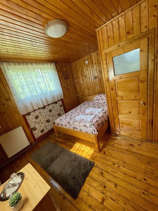 Pensiune / casa de vacanta munte Dambovicioara/ afacere