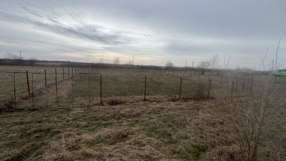 Vând teren intravilan în localitatea Dragsina (Timiș)