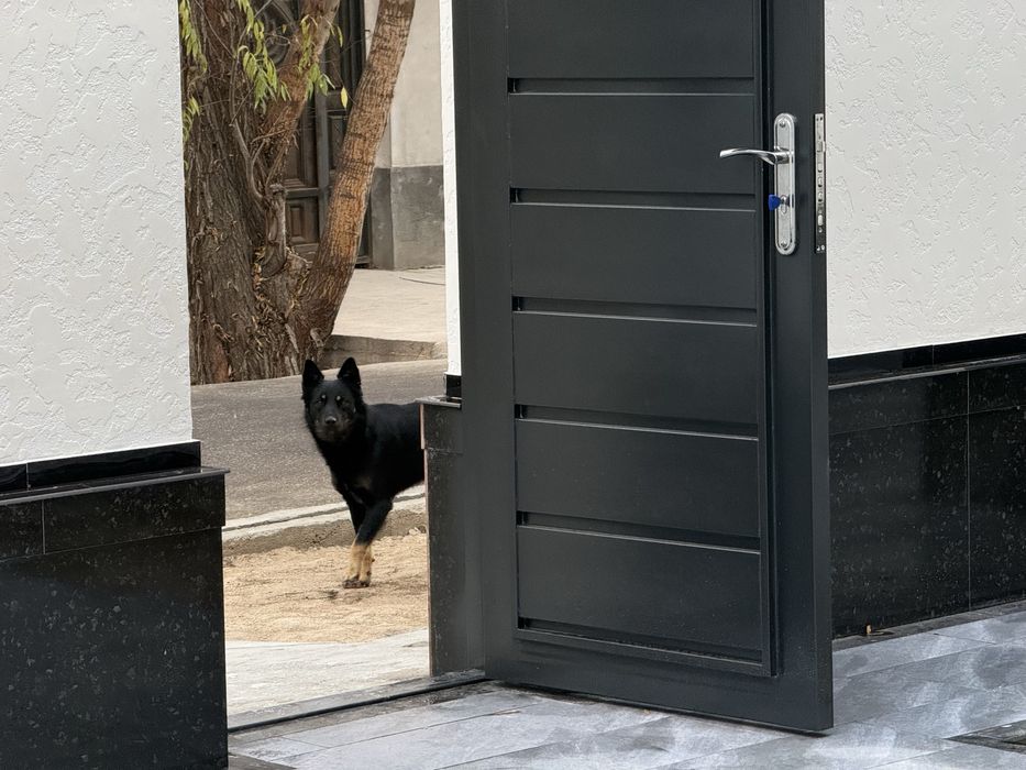 Продаются коттеджи 2 сотки Гишт-Куприк