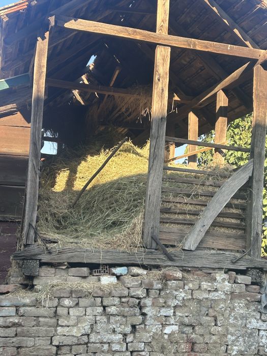 Vand van din vara e facau fanul arata foarte bine