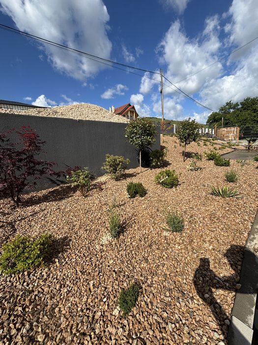 Amenajări grădini / Irigație / Plante / Pavaj -spatii verzi