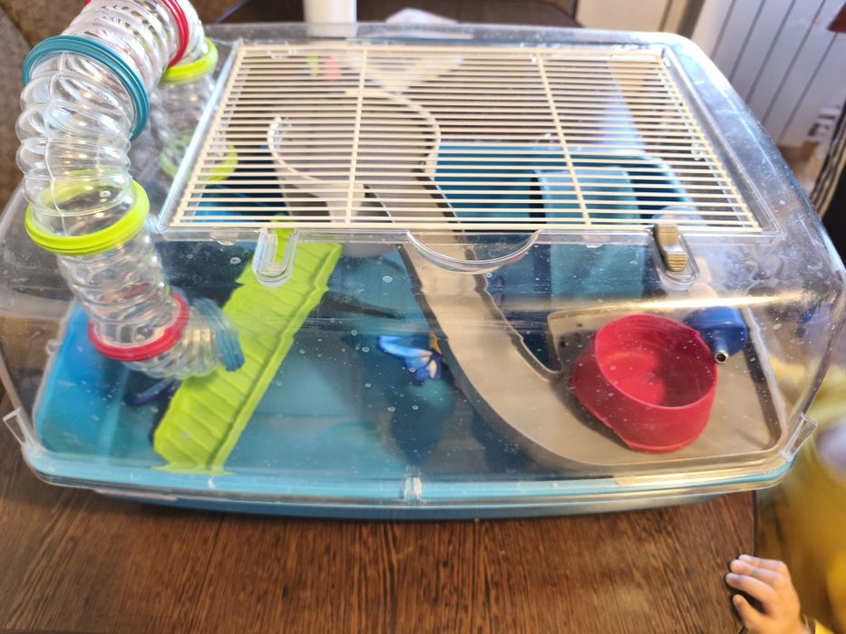 Când cușcă hamster