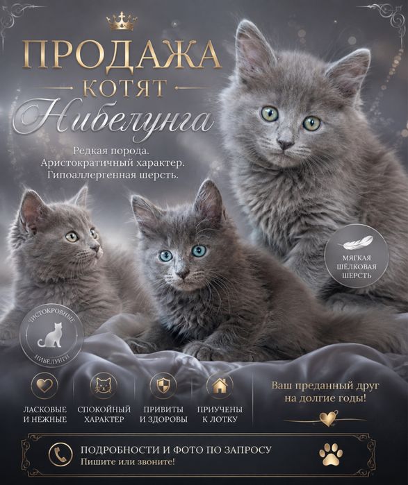 Котята нибелунга мальчики