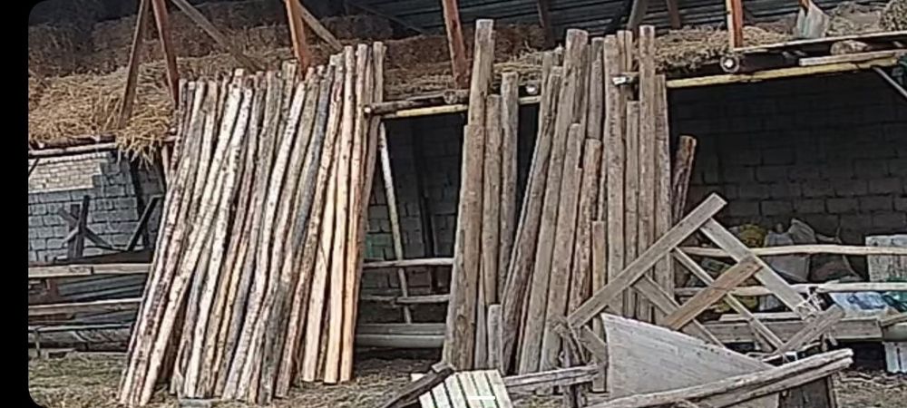 To'sin sotiladi rossiya va teraklar