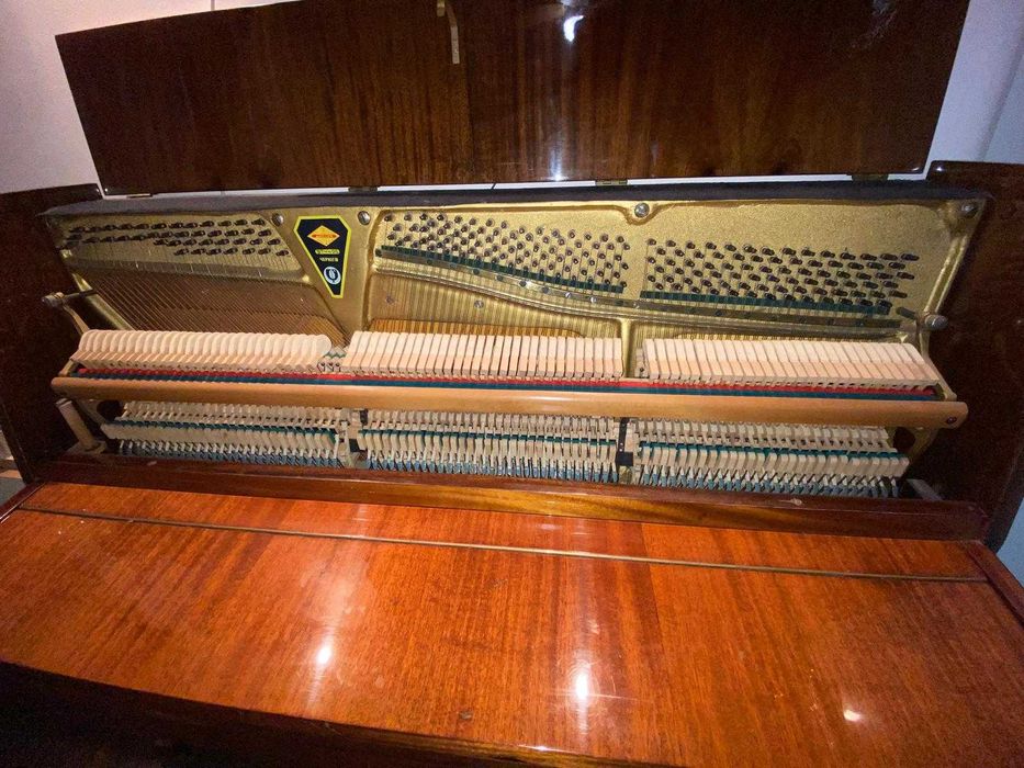 Vand pianina Ucraina