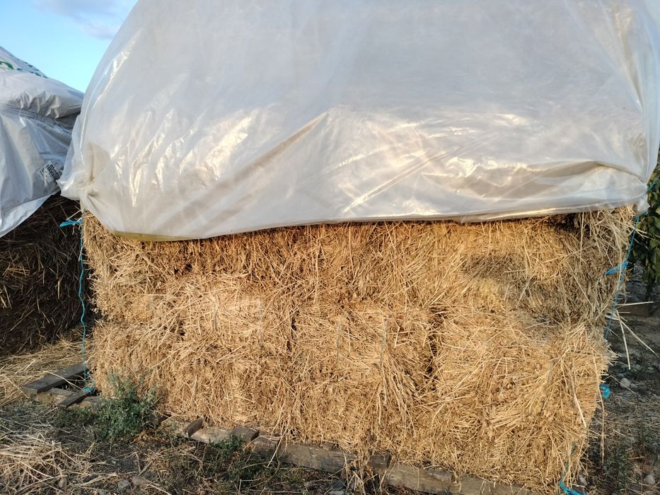 Vând baloți de lucernă