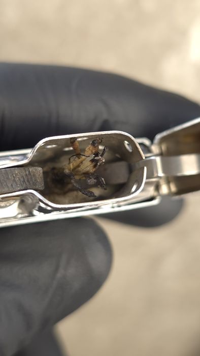 Zippo din 1967 functional