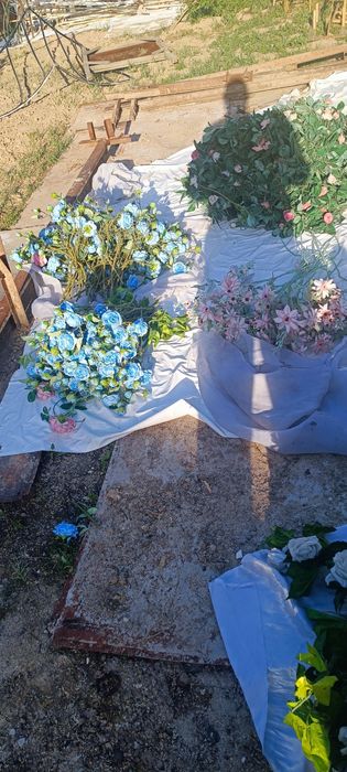 Хитой суний гуллари