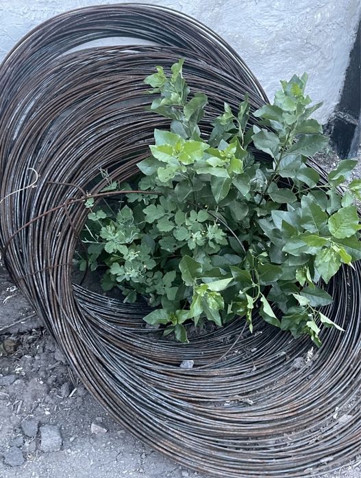 Арматура  А-500 16мм 250тенге