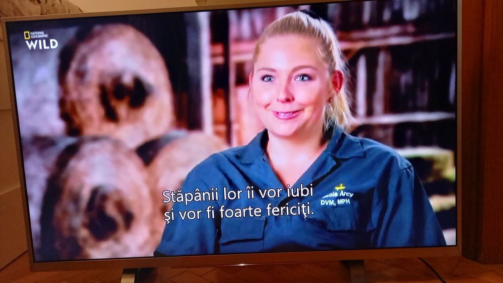 Vand televizor Smart Tv Sony Bravia diagonala 80 cm