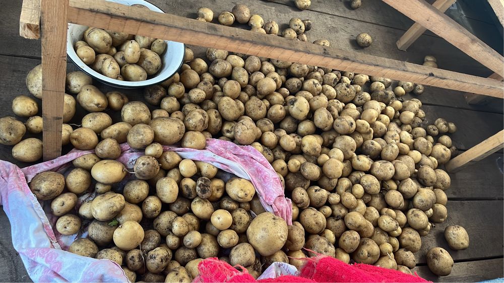 Продам дачу 6 общ 17 дачи