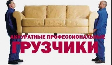 Грузчики и Газель 24/8