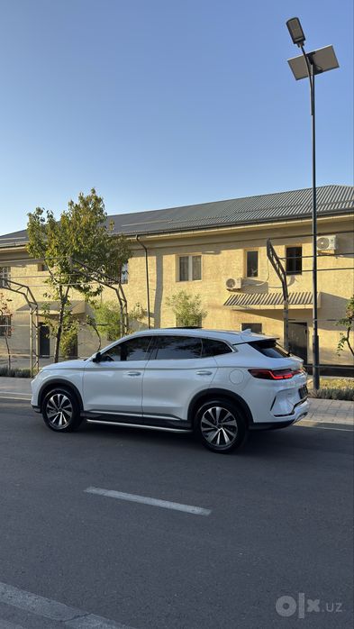Byd chempion Dm-i