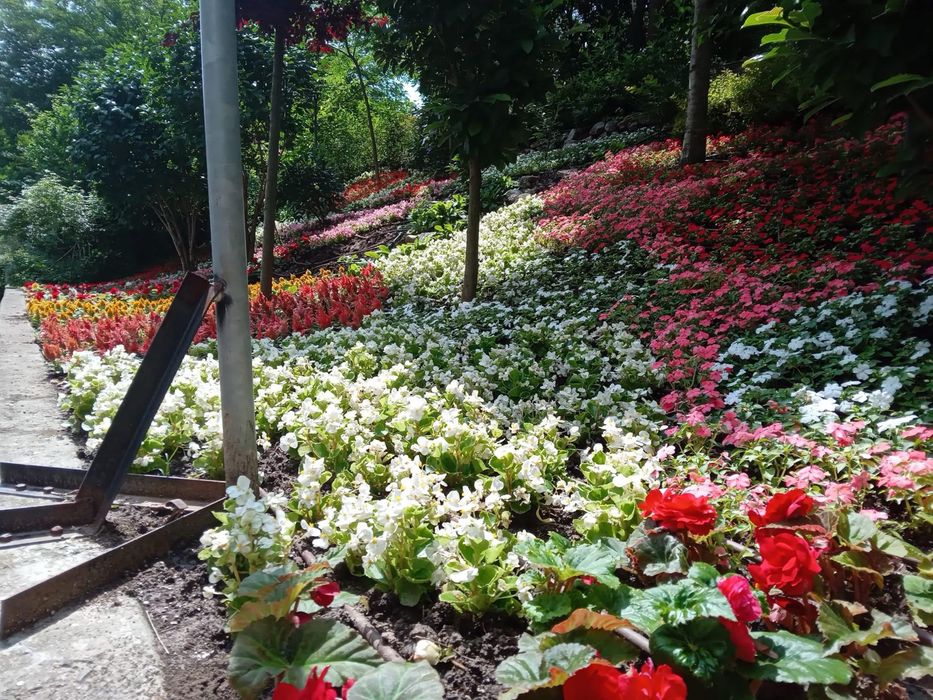Озеленяване, затревяване, поддръжка и изграждане