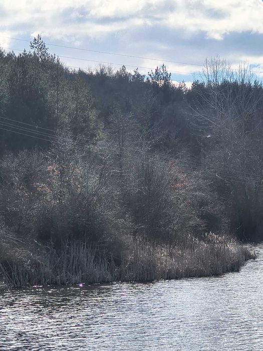 Продвам парцел 5 декара!