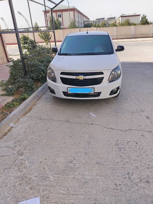 Yangi 2025 yil koblt midnayt sotiladi