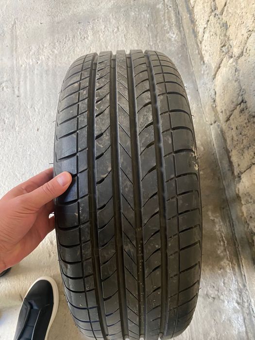 Jentra zavod zapaska