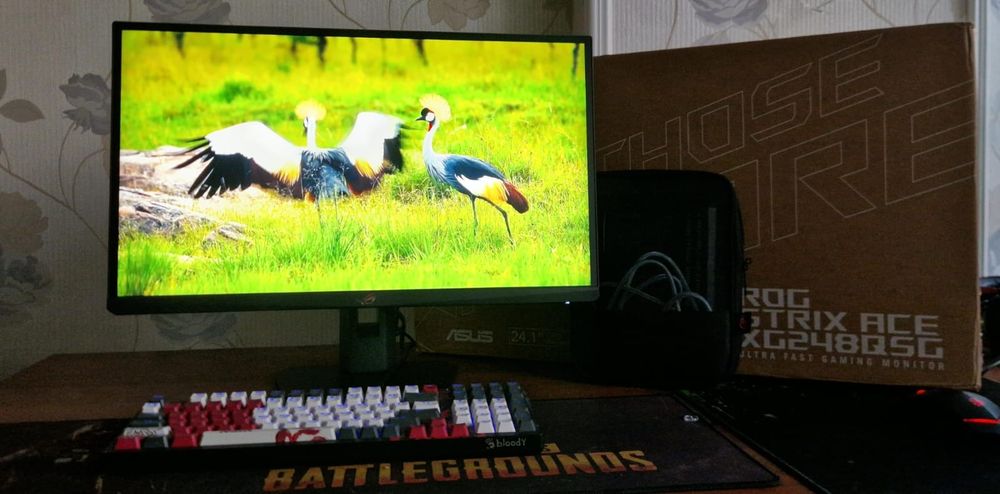 Продам Игровой монитор  ASUS ROG Strix ACE XG248QSG 24.1" 610H