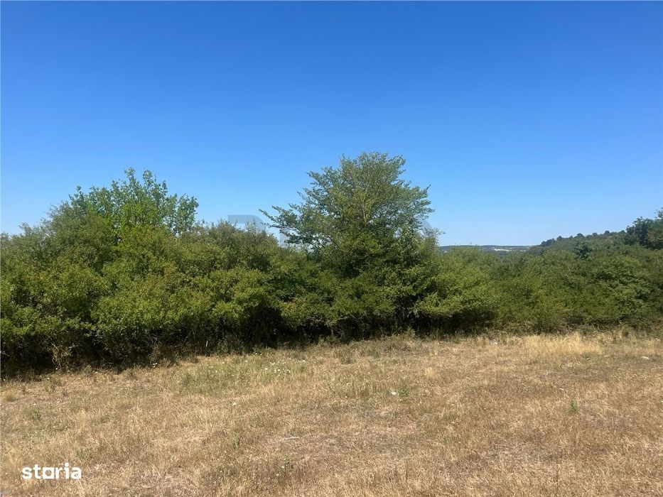 RECO Teren extravilan Holod 27400 mp