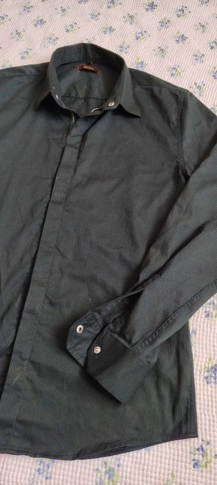 2 та куйлак янги. Terra pro.