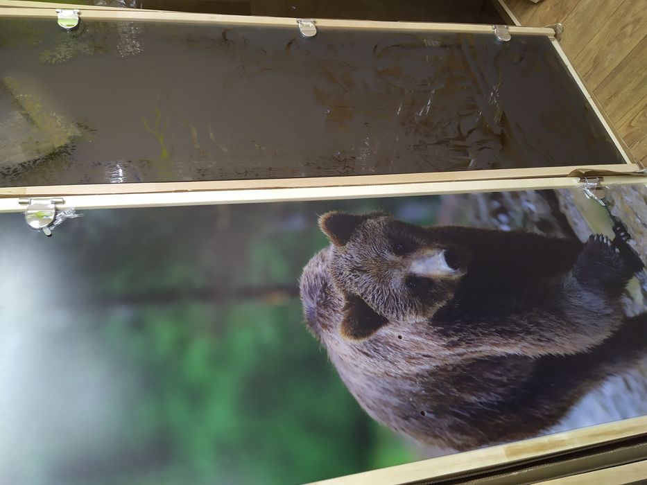 Двери и Окна для бани и сауны.