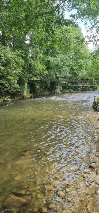 Teren pensiune/cabana  intravilan 4000 mp Bulz