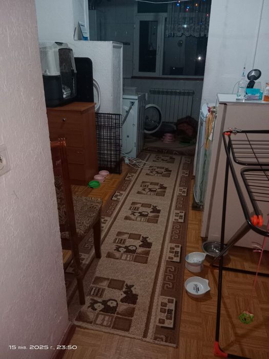 Возьму одну девушку в квартиру.