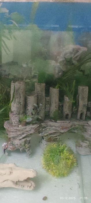 Два аквариума на стойке