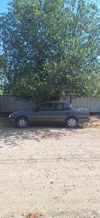 продам Nissan Primera