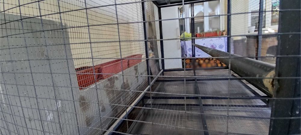 2 дақиқада тайёр бўладиган товуқхона! / Тайёр товуқхона сотилади