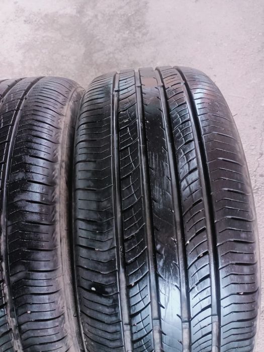 Продам ризину лето