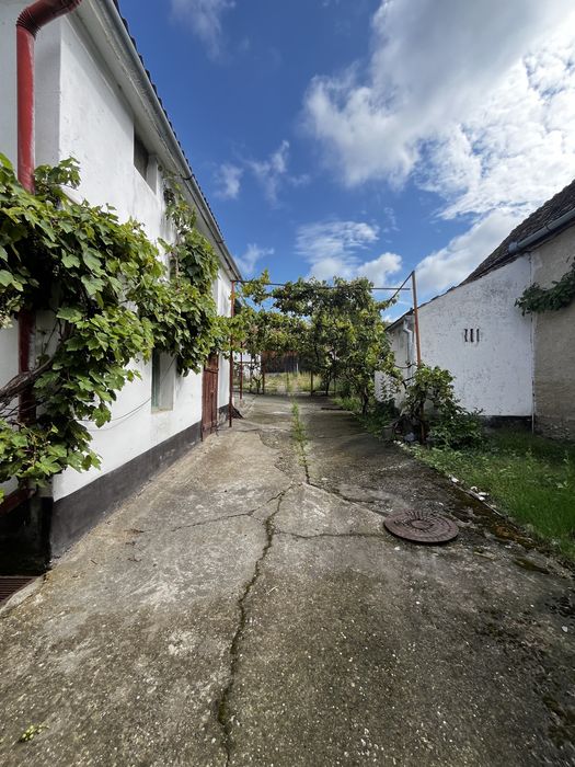 Casă de vânzare în Slimnic – 1.860 mp teren + anexe