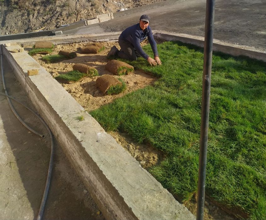 Ландшафтная компания ENTER GREEN LIFE