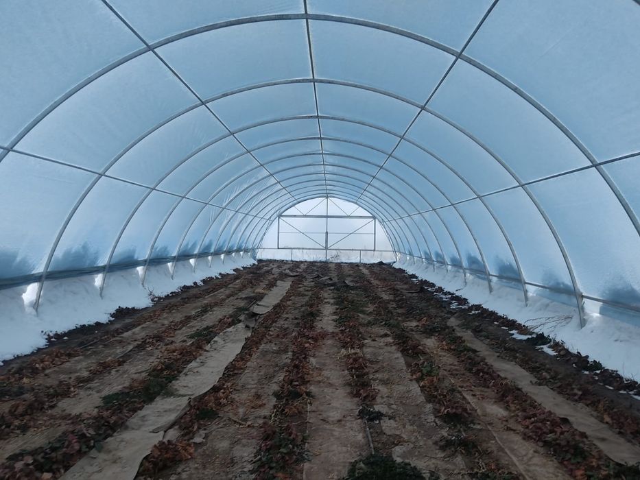 Теплица 22метра на 8метра