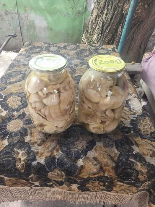 Грибы,маринованные,Синеножка