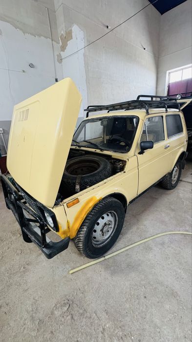 Niva Satiladi  1989-jil