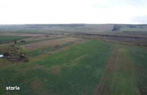 Teren Albesti, Vaslui, ID: R2893960