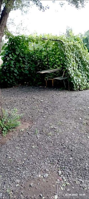 Сдам в аренду дачный участок