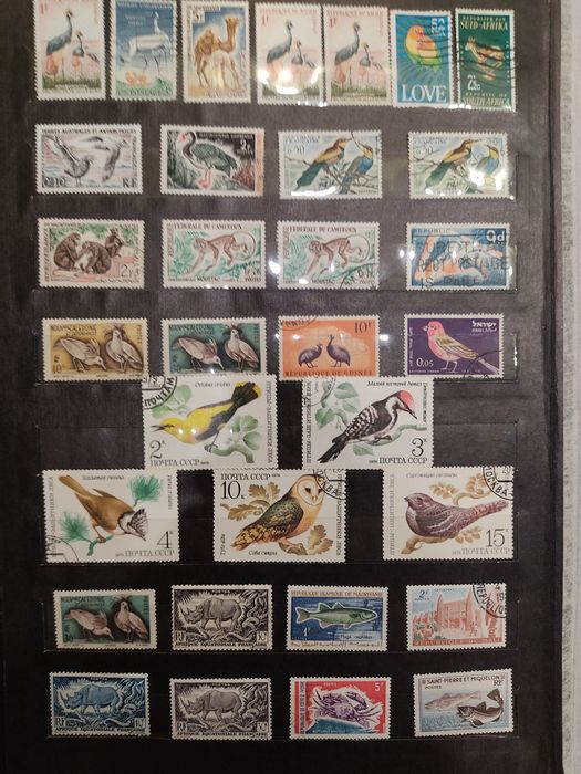 Почтовые марки. Альбом "Птицы".
