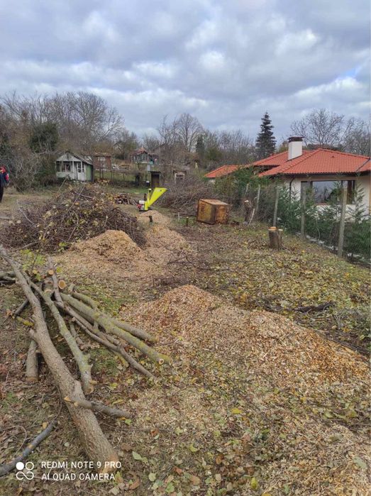 Почистване на дворове от трева и храсти