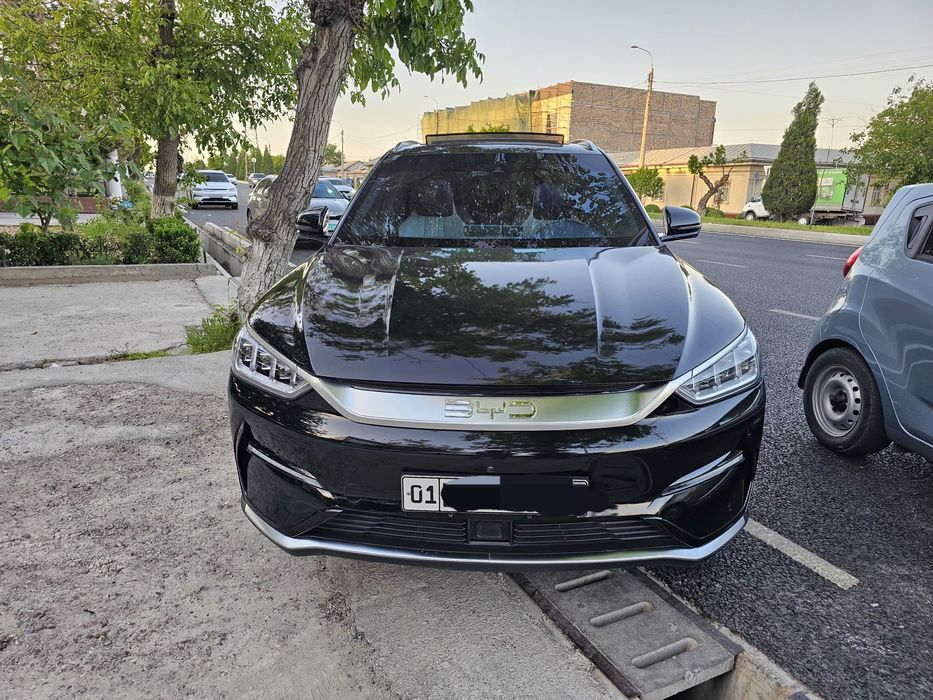 Other Song Plus EV Champion 2023