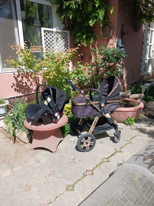 Kolyaska Canyon sotiladi