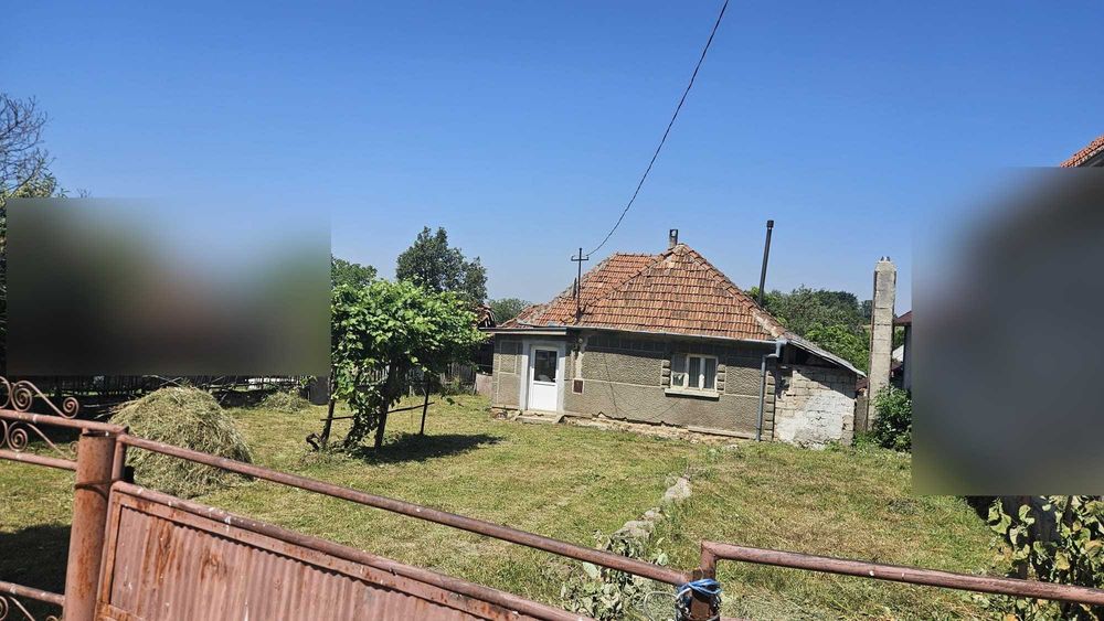 Casă cu teren 8.000 mp și livadă