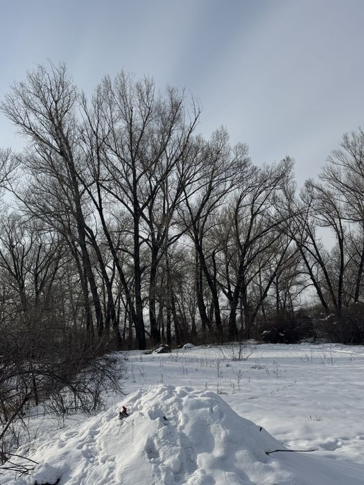 Участок 10 соток возле озера Линьковое