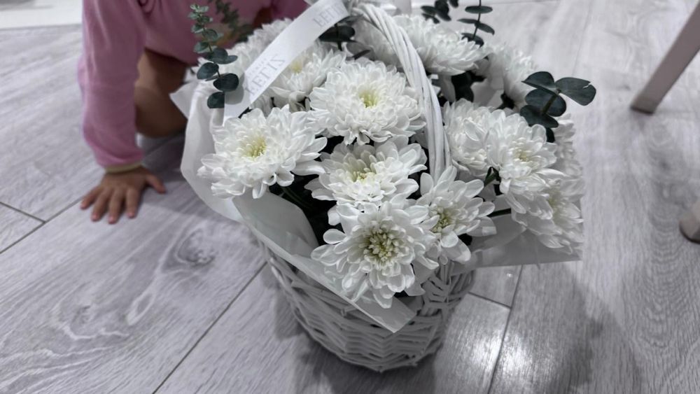 Свежие Хризантемы