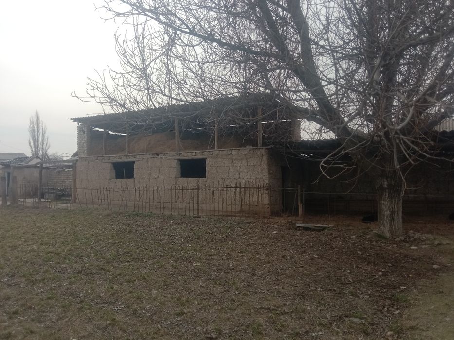 16 сотихли ховли жой