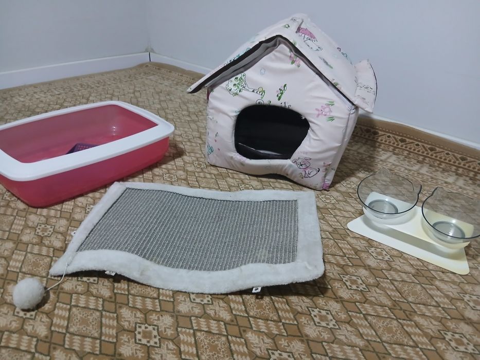 Приборы для кошек б/у